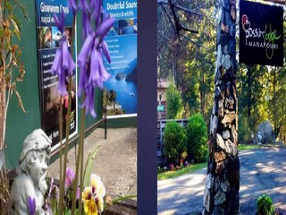 Fiordland Lakeview Accommodation in New Zealand