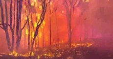 Firefighters Release Dramatic Footage From Devastating Carwoola Bushfire