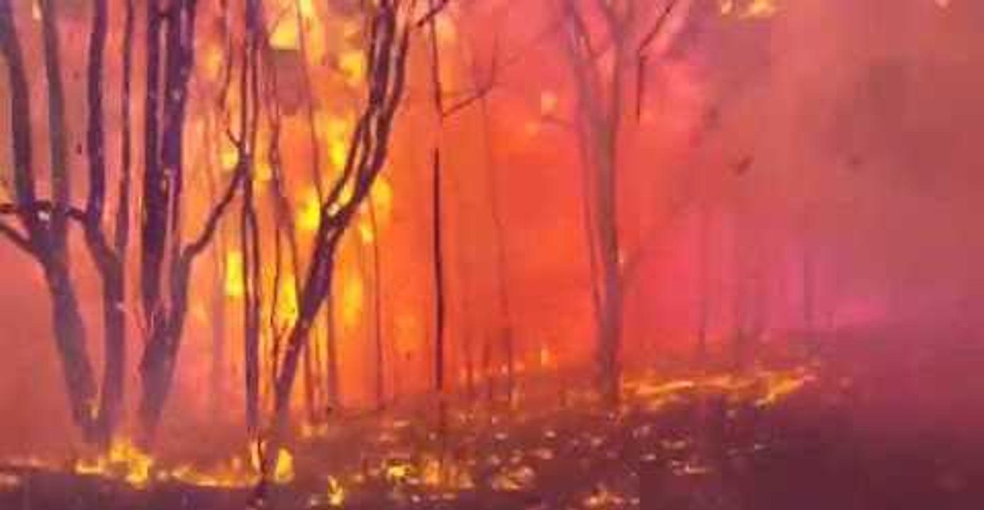 Firefighters Release Dramatic Footage From Devastating Carwoola Bushfire