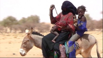 Niger's Tuareg community seeks stability