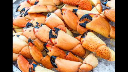 Stone Crab Seafood LLC - (305) 587-2624