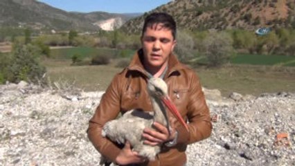 Karayolları Ekipleri Tarafından Bulunan Yaralı Leylek İki Ay Sonra Doğaya Salındı