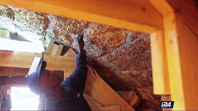 Archéologie : une gravure retrouvée à Césarée