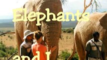 One of the Big Five - South Africa Elephants and I-wrHeZMmNnLM
