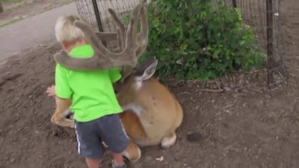 Quand tu te fais de nouveaux amis... Animaux VS Enfants