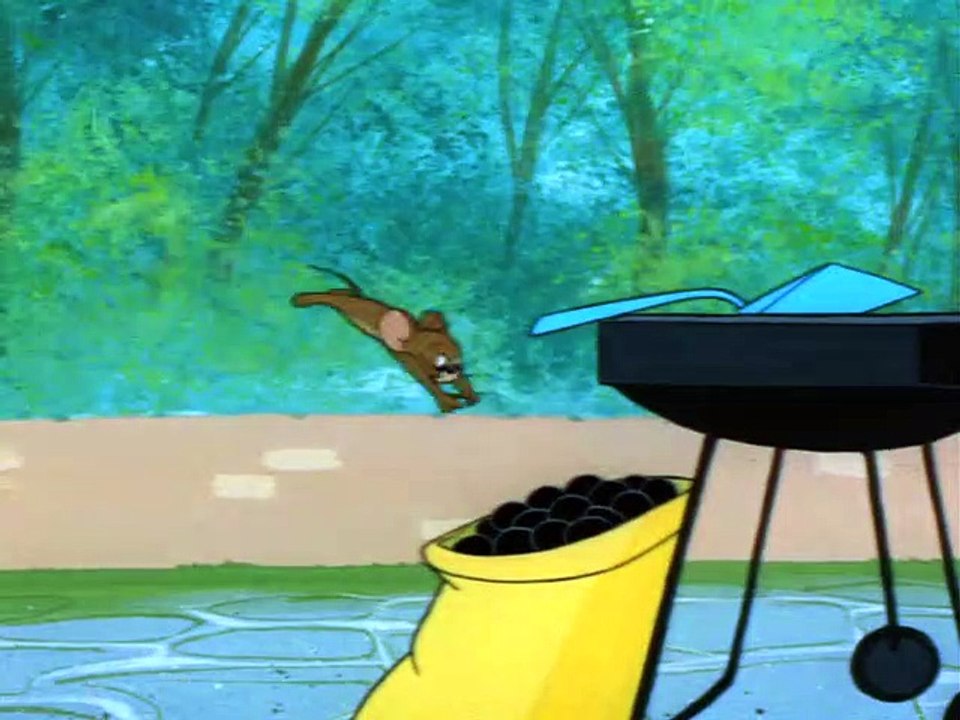 Tom and Jerry 104 Barbecue Brawl video Dailymotion