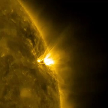 When an active region rotated over to the edge of the sun, it presented us with a nice profile view of its elongated loo