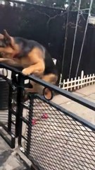 검증된놀이터【 SCB 3 3、CＯM - 코드: 0004 】♣유니벳