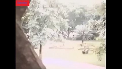 믈브（aC2 3 2 3,CO M）『네임드사다리사이트추천,믈브』네임드사다리사이트추천