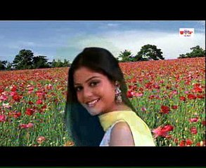 Rajasthani Folk Songs | Sun Kurjan Mhare | New Rajasthani Songs 2017