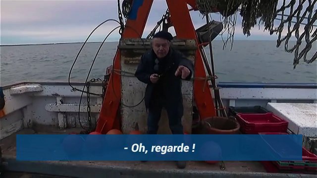 Moi j'appelle les dauphins Marine Le Pen lors de sa sortie en bateau au Grau-du-Roi