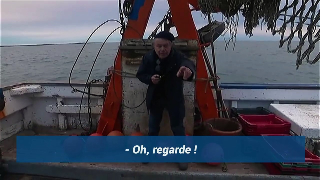 "Moi j'appelle les dauphins" Marine Le Pen lors de sa sortie en bateau au Grau-du-Roi