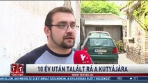 10 év után talált rá a kutyájára