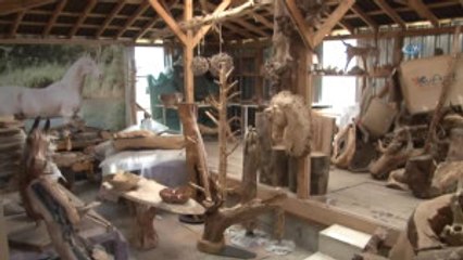 Ağaç Köklerinden Bakın Ne Yapıyor