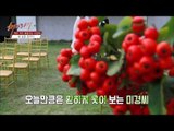 화려한 변신! 남편과 둘만의 결혼식![해바라기2] 6회 20161015