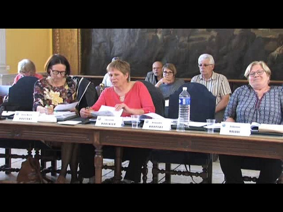 Conseil municipal du vendredi 14 avril 2017 partie D