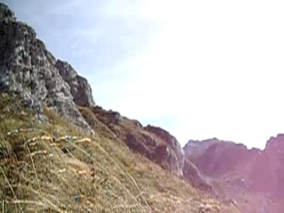 la dent d'oche