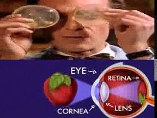 Bill Nye The Science Guy S1E20 Eyeballs