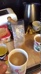 Download Video: Des gars frottent le piment sur le bord de la tasse de café de leur pote