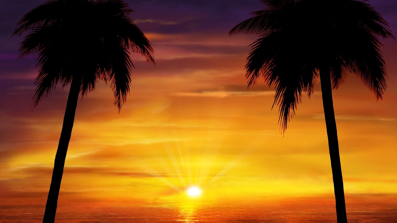 Yellow sunset