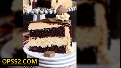 Cheesecake Chocolate Cake 오피쓰 마포오피 마포건마 OPSS2.COM