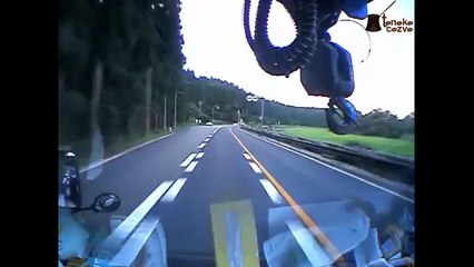 Ayı mı tıra tır mı ayıya çarpıyor?