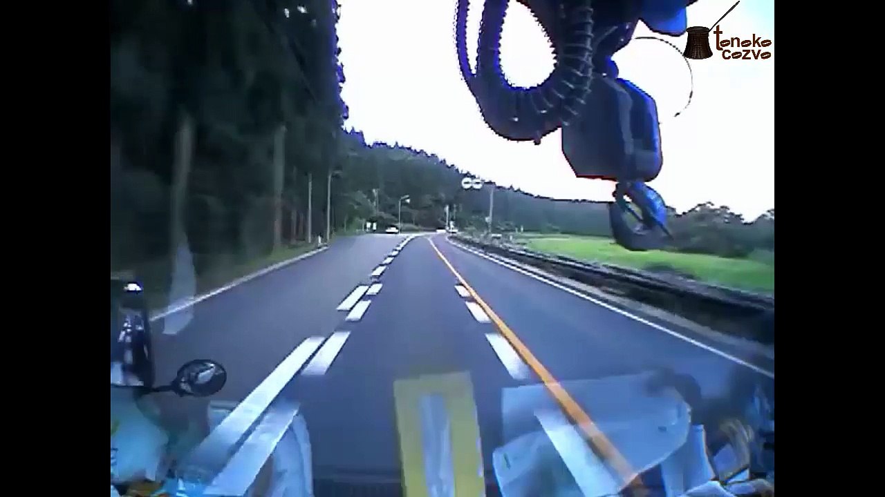 Ayı mı tıra tır mı ayıya çarpıyor?