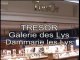Tresor  - Galerie des Lys - Dammarie les Lys