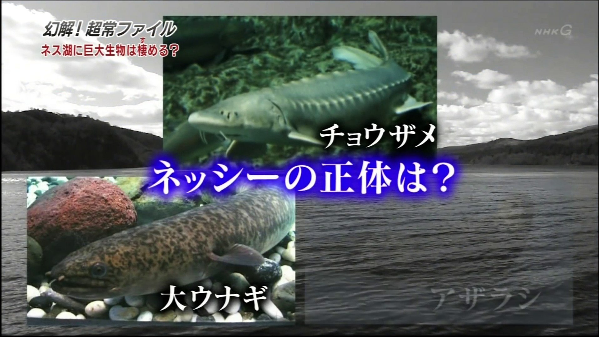幻解 超常ファイル ネッシーは実在するのか ２ ２ Nhk 超常現象 栗山千明 Video Dailymotion