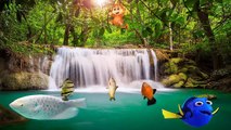 Five Little Monkeys Jumping Fun Fish are Attacked by Eagles - Nursery Rhymes for Children