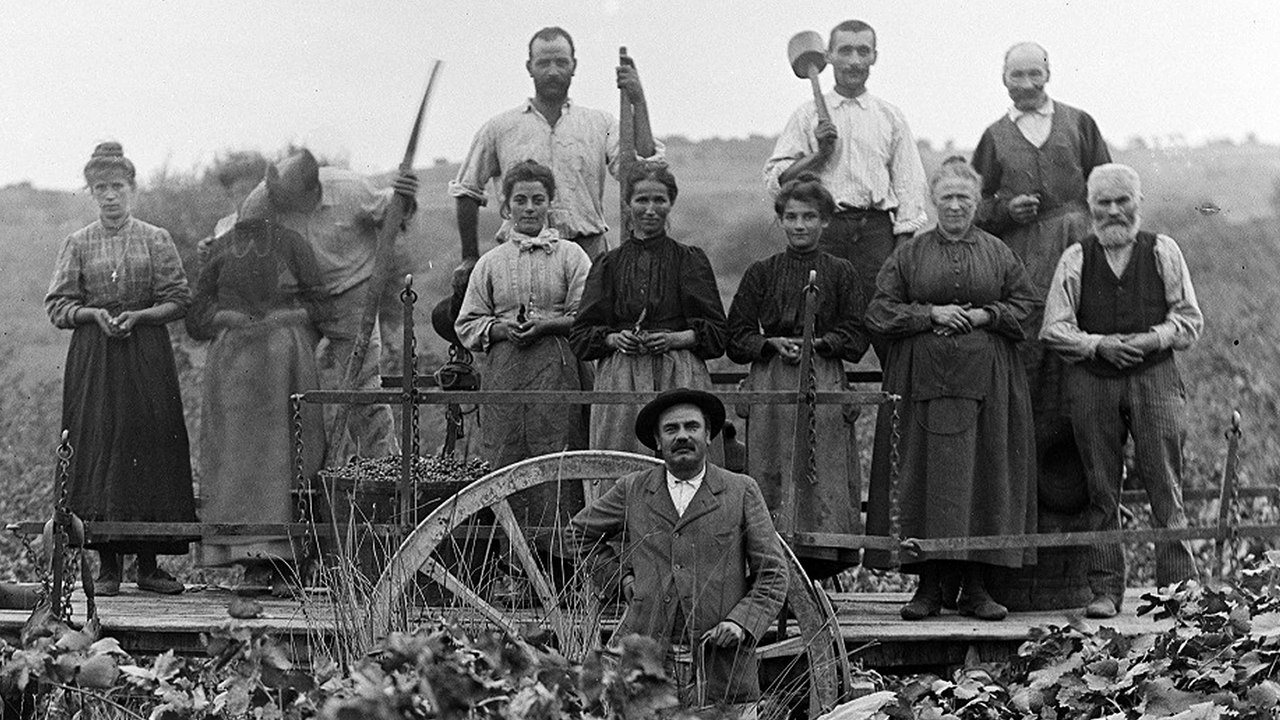 Les femmes et la vigne