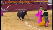 Iván Fandiño - La Candelaria de Valdemorillo - 4-2-2017 SEGUNDO TORO-bullfighting festival Crazy bull attack people -301