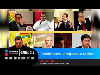 Porkimones: ¡Atrápalos a todos!
