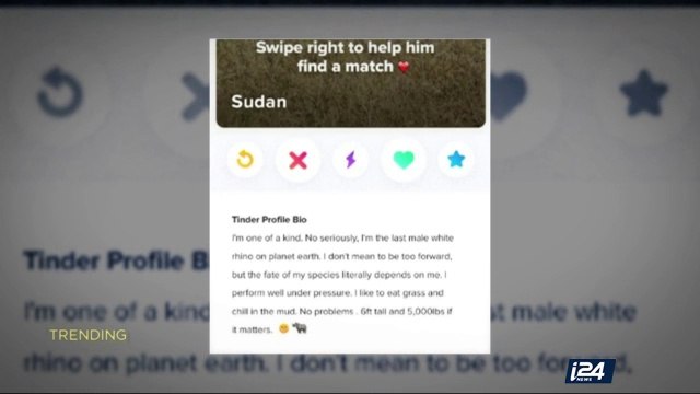 TRENDING | Strut your stuff : footwear that's trending .. | Thursday, April 27th 2017