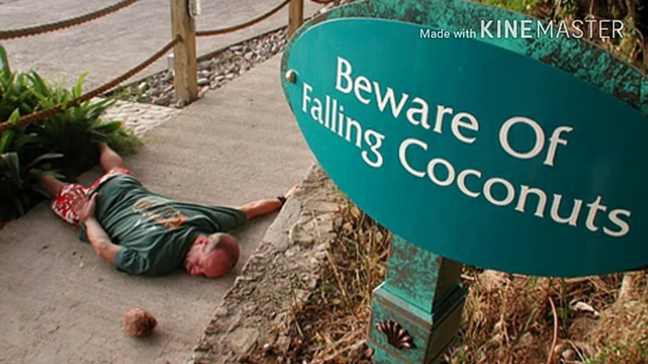 3 సంవత్సరాల నుండి T .V చూస్తున్న శవం _ Interesting Facts in Telugu _ Amazing Facts You Didn't know