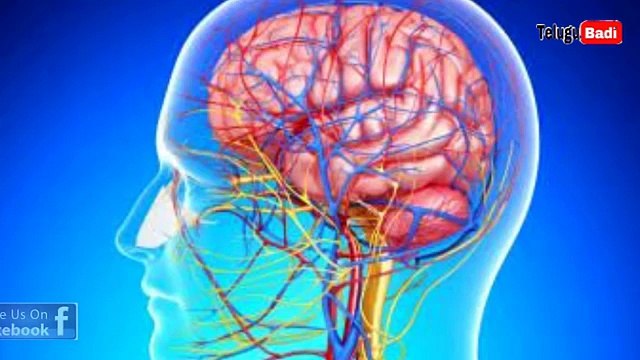 10 Most Expensive Liquids On The Earth