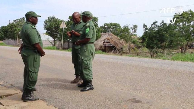 L’exploitation illégale des forêts mozambicaines par des entreprises chinoises