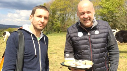 From'fest, le premier festival rock au fromage breton