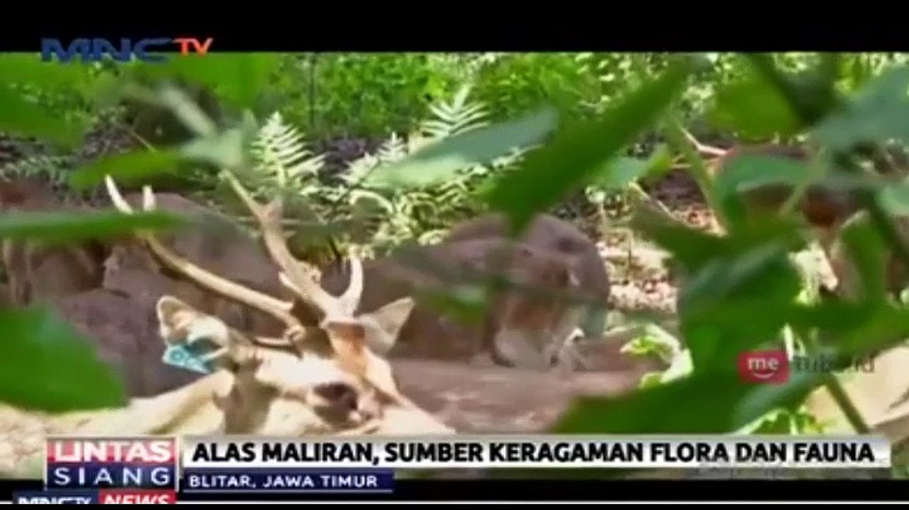 Potensi Rimba Blitar