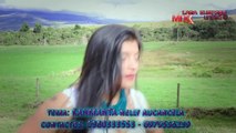 MIX DUROS DEL CHIMBORAZO Nelly Janneth, Edison Pingos, Jose Guacho  LAMA VIDEO MIX HD 5