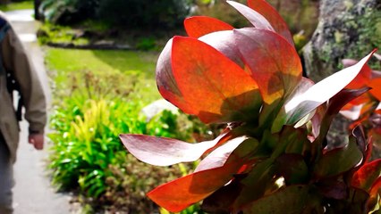 Walks Around Britain - Season 3, Episode 4