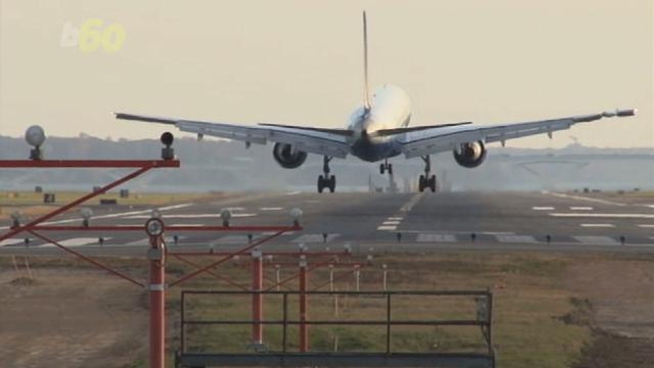 Easy Ways to Keep Your Pet Safe While Flying