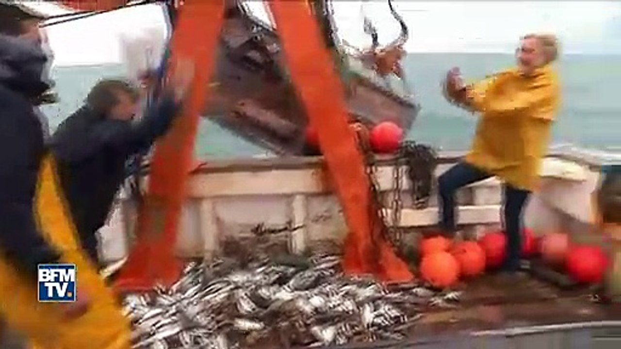 Gilbert Collard lance un poulpe à Marine Le Pen sur un bateau de pêche