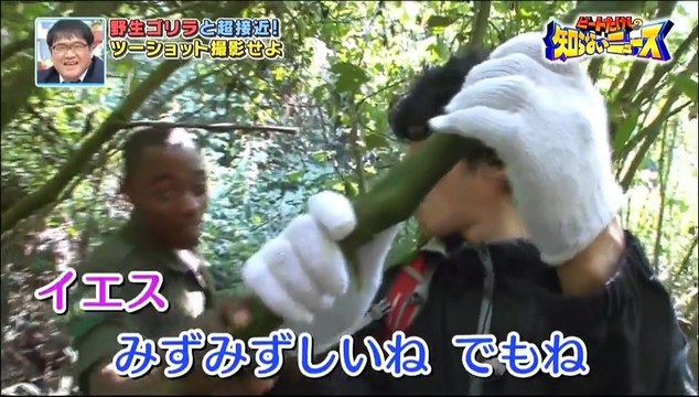 世界がザワついた[秘]映像　ビートたけしの知らないニュース　第9弾 (1) part2