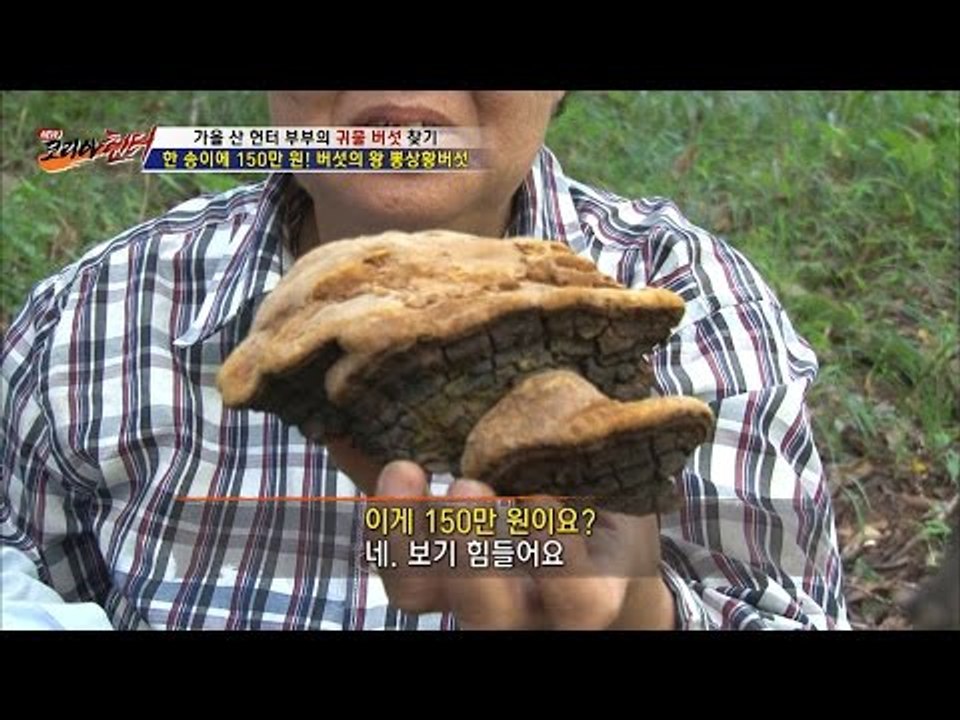 한 송이에 150만원?! 구하기 힘든 버섯의 왕! [뉴 코리아 헌터] 19회 2016...