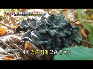 검은 장미 같은 곰 버섯! [뉴 코리아 헌터] 19회 20161012