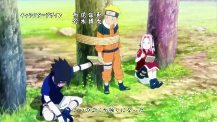 Blood Circulator (AMV) (English)