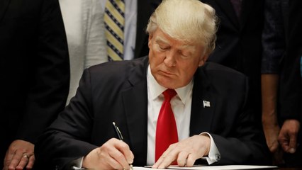 What has Trump done in his first 100 days as president?