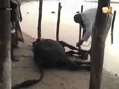 protection pour le Président Macky à Fatick - Xibaar Yi Soir - 12 Juin 2012