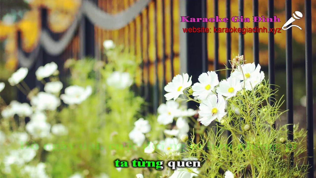 Đừng Yêu Karaoke - Beat Chuẩn (Thu Minh)